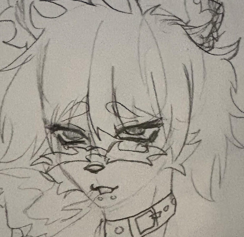 Sketch